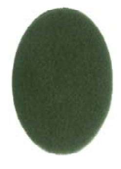 Image de DISQUE VERT BM 254MM 10' (Lot de 5)