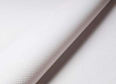 Image de NAPPES PAPIER 60X60 BD BLANC PLIEES (Colis de 500)