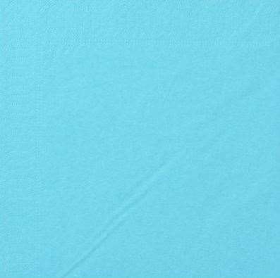Image de SERV OUATE 2P 30X40 TURQUOISE (Colis de 2400)