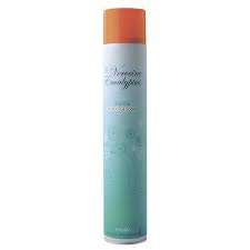 Image de STROMBOLI DESTRUCTEUR ODEUR EUCALYPTUS 750ML